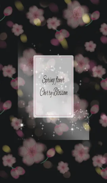 [LINE着せ替え] ブラック＆ピンク / オトナ可愛い 春の桜の画像1