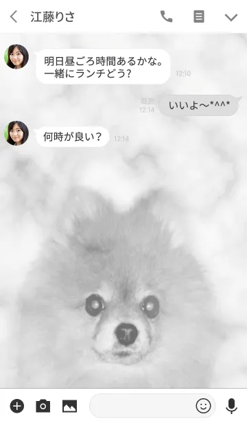 [LINE着せ替え] 【シンプル】大理石と犬と英語文字の画像3