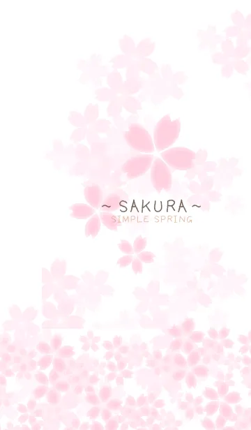 [LINE着せ替え] Simple Spring 〜SAKURAⅡ〜の画像1