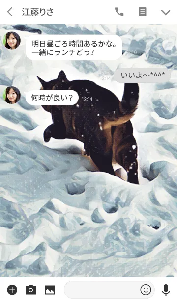 [LINE着せ替え] 雪の日の猫の画像3