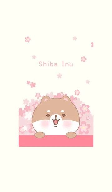 [LINE着せ替え] 桜と柴犬の画像1
