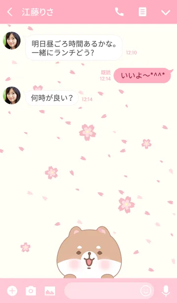 [LINE着せ替え] 桜と柴犬の画像3