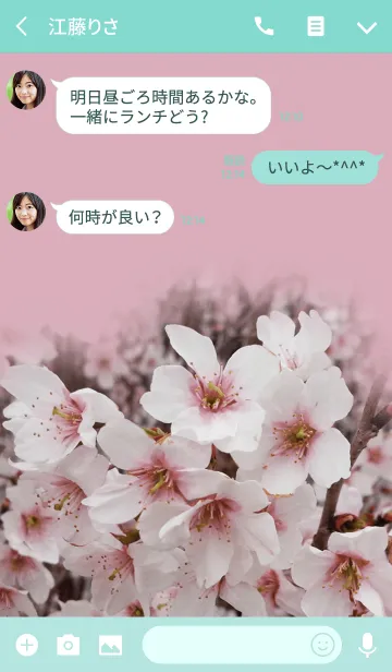 [LINE着せ替え] 春の桜 2の画像3