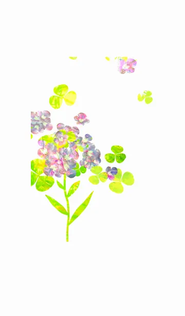 [LINE着せ替え] 透明感のある花の画像1