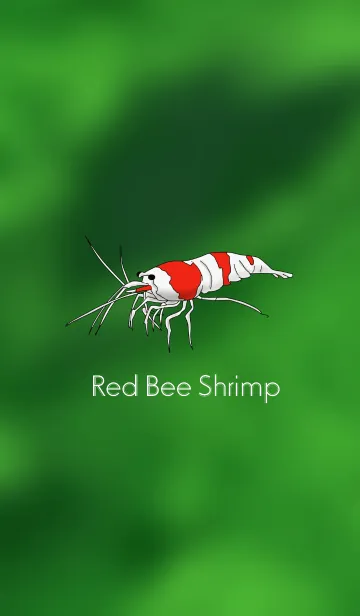 [LINE着せ替え] *Red Bee Shrimp*の画像1