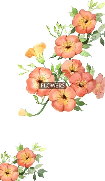 [LINE着せ替え] water color flowers_649の画像1