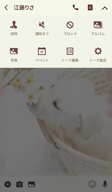 [LINE着せ替え] 癒し子犬♪花見ラブラドールの画像4