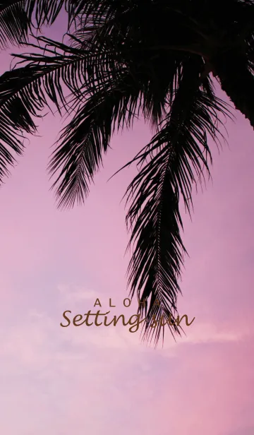 [LINE着せ替え] ALOHA -Setting sun- 6.の画像1