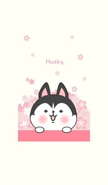 [LINE着せ替え] ハスキーと桜の画像1