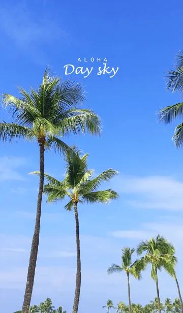 [LINE着せ替え] ALOHA -Day Sky- 2.の画像1