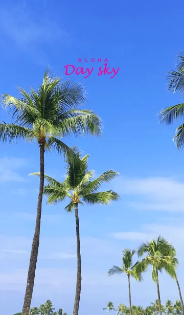 [LINE着せ替え] ALOHA -Day Sky- 3.の画像1