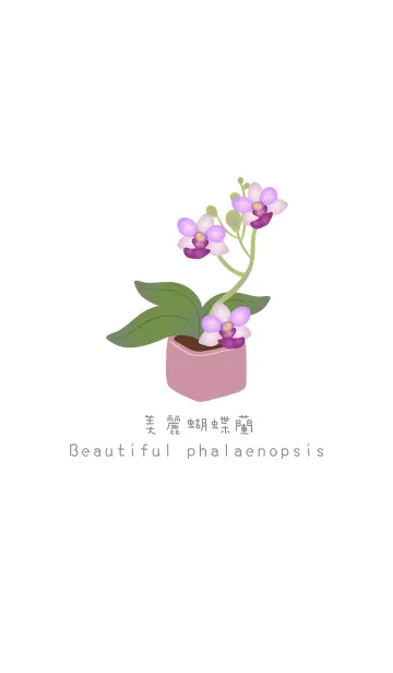 [LINE着せ替え] 美しい紫蝶蘭の画像1