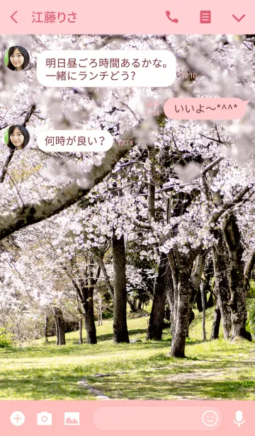 [LINE着せ替え] Row of cherry blossom treesの画像3