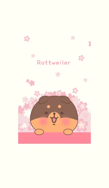 [LINE着せ替え] 赤ちゃんロットワイラー犬と桜の花の画像1