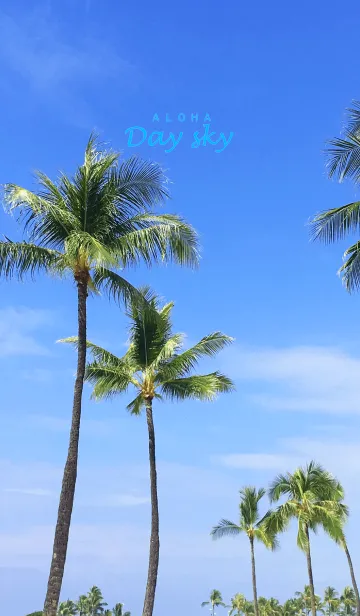 [LINE着せ替え] ALOHA -Day Sky- 5.の画像1