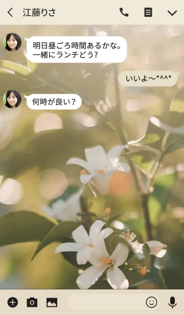 [LINE着せ替え] ORANGE JASMINE EVENINGの画像3