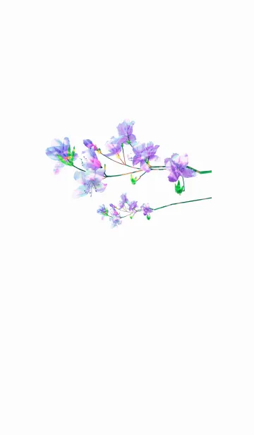 [LINE着せ替え] 透明感あふれる花の画像1