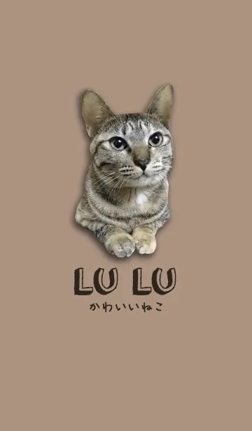 [LINE着せ替え] LU LU LIFE(1)-catの画像1