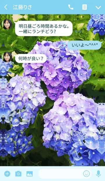 [LINE着せ替え] あじさいの花 3。の画像3
