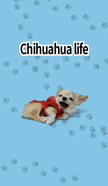 [LINE着せ替え] チワワ的生活 ブルーの画像1