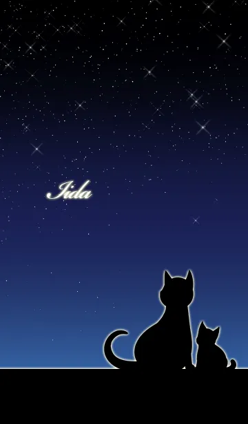 [LINE着せ替え] いいだ★猫の親子と夜空の画像1