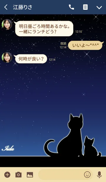 [LINE着せ替え] いいだ★猫の親子と夜空の画像3