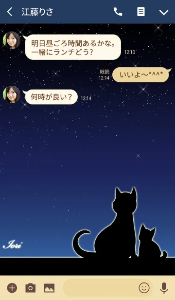 [LINE着せ替え] いおり★猫の親子と夜空の画像3