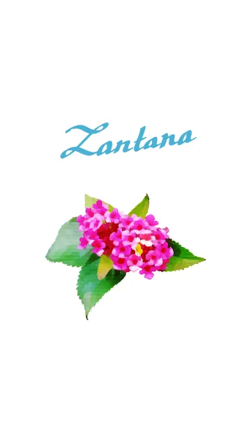 [LINE着せ替え] ランタナの画像1