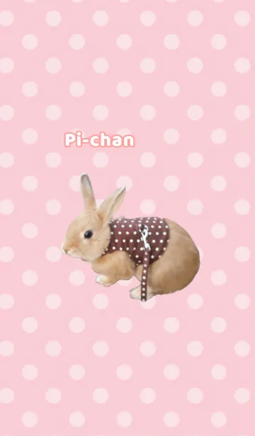 [LINE着せ替え] ピーチャンラビットの画像1