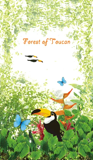 [LINE着せ替え] トゥカンの森 ーオニオオハシとモルフォーの画像1