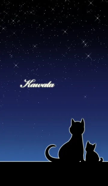 [LINE着せ替え] かわた★猫の親子と夜空の画像1