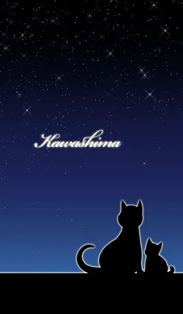 [LINE着せ替え] かわしま★猫の親子と夜空の画像1