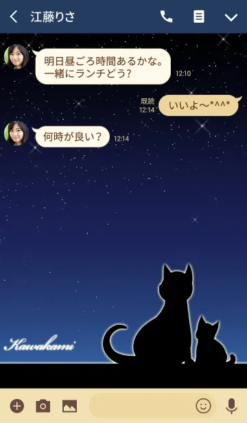 [LINE着せ替え] かわかみ★猫の親子と夜空の画像3