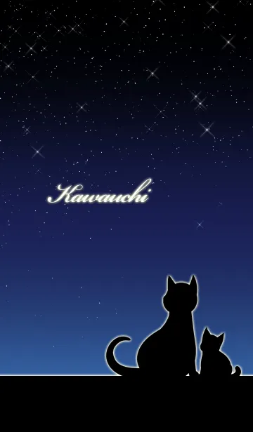 [LINE着せ替え] かわうち★猫の親子と夜空の画像1
