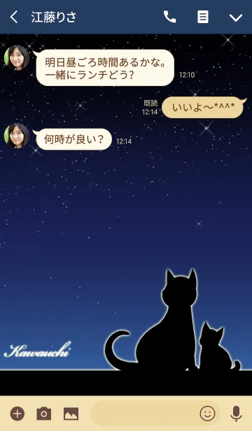 [LINE着せ替え] かわうち★猫の親子と夜空の画像3