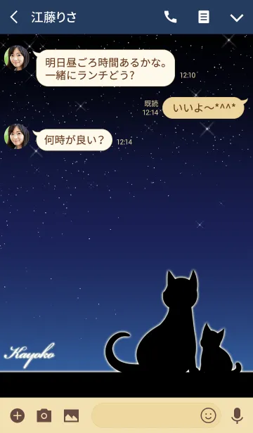 [LINE着せ替え] かよこ★猫の親子と夜空の画像3