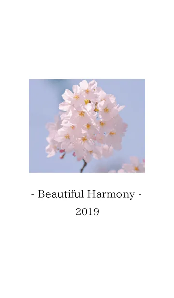 [LINE着せ替え] SIMPLE ≪Beautiful Harmony≫ THEME 1 //の画像1
