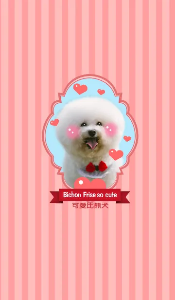 [LINE着せ替え] Bichon Frise so cuteの画像1