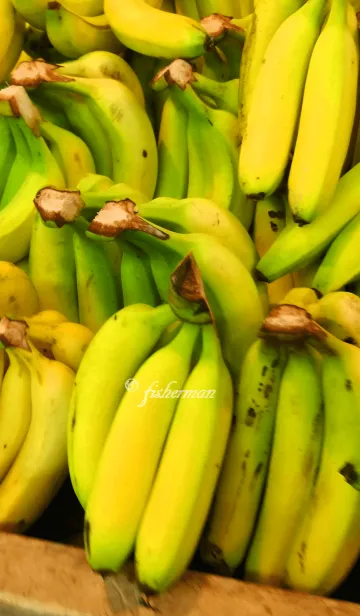 [LINE着せ替え] 山盛りバナナの画像1