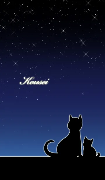 [LINE着せ替え] こうせい★猫の親子と夜空の画像1