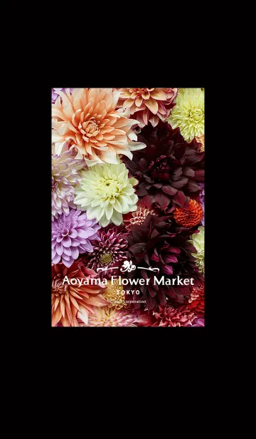[LINE着せ替え] 青山フラワーマーケット ダリアの画像1