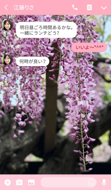 [LINE着せ替え] Wisteria flower.の画像3