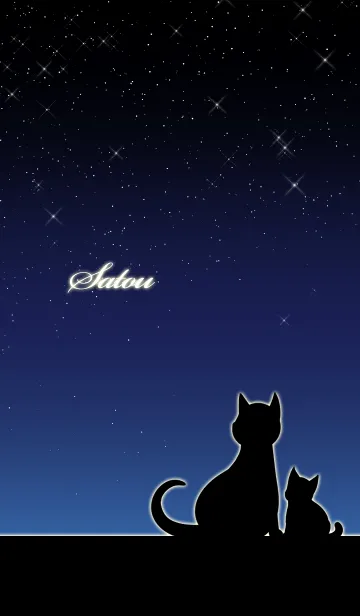 [LINE着せ替え] さとう★猫の親子と夜空の画像1