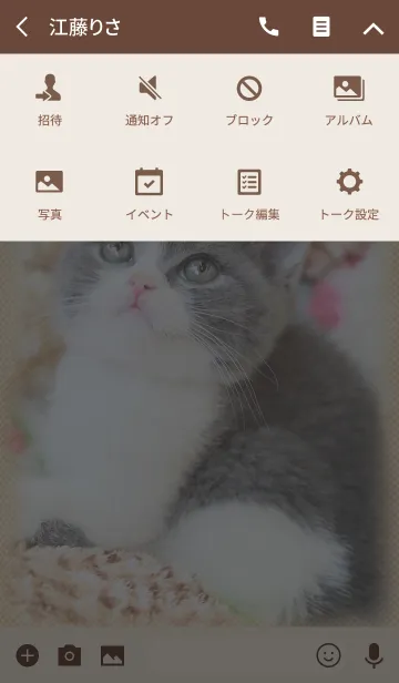 [LINE着せ替え] 癒し子猫♪ブリティッシュショートヘアの画像4