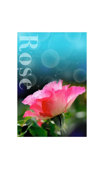 [LINE着せ替え] BLUE ROSE GARDENの画像1