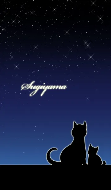 [LINE着せ替え] すぎやま★猫の親子と夜空の画像1