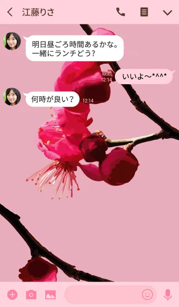 [LINE着せ替え] みんなの杏の花の画像3