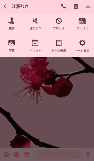 [LINE着せ替え] みんなの杏の花の画像4