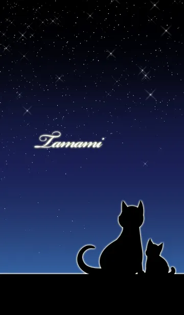 [LINE着せ替え] たまみ★猫の親子と夜空の画像1