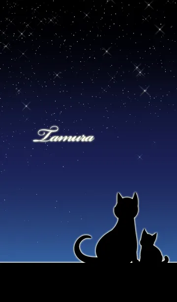 [LINE着せ替え] たむら★猫の親子と夜空の画像1